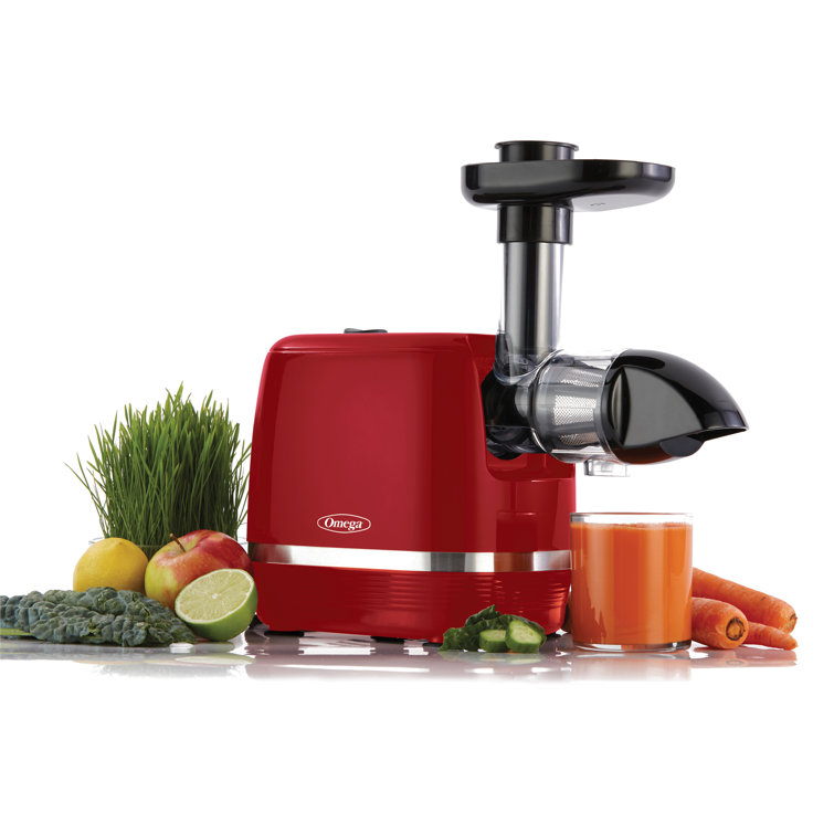 Horizontal juicer 2025